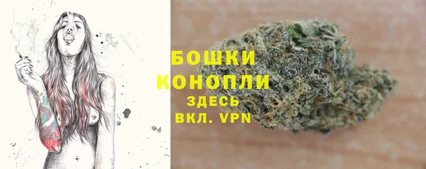 шишки Мегион