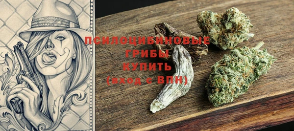 шишки Мегион