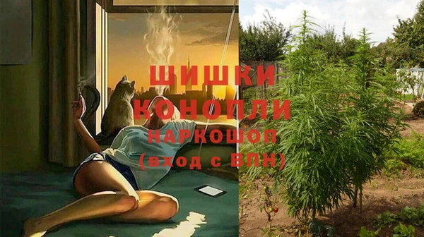 бутират Медногорск