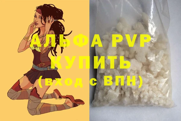 стаф Медвежьегорск