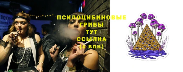 бутират Медногорск