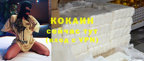 кокс Алексин