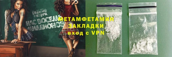 шишки Мегион