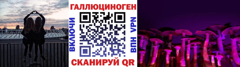 Псилоцибиновые грибы Psilocybine cubensis  Советская Гавань 
